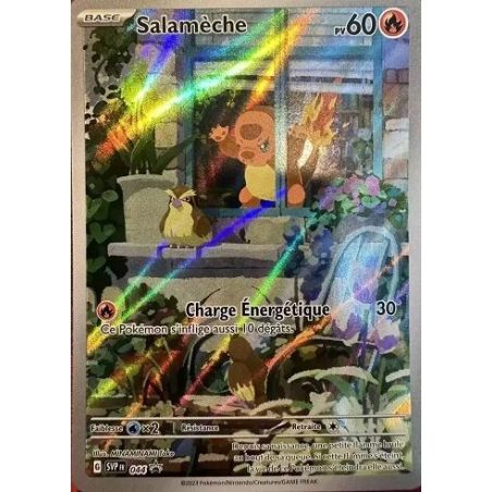 Carte à Collectionner - Pokémon