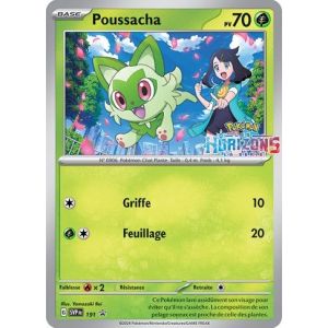 Carte à Collectionner - Pokémon