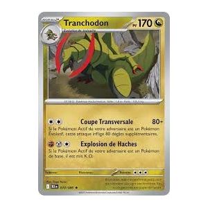 Carte à Collectionner - Pokémon