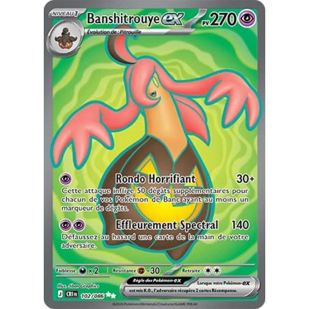 Carte à Collectionner - Pokémon