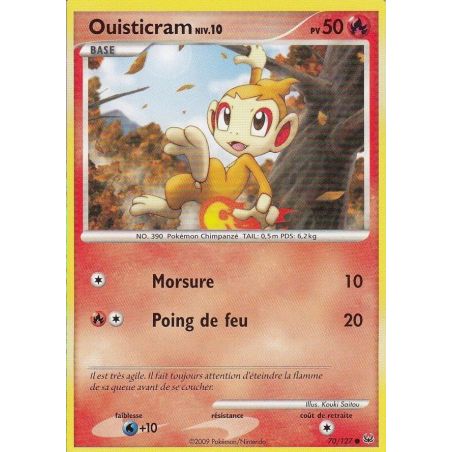 Carte à Collectionner - Pokémon