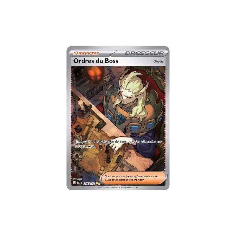 Carte à Collectionner - Pokémon