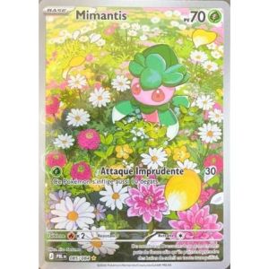 Carte à Collectionner - Pokémon