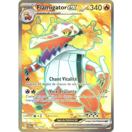 Carte à Collectionner - Pokémon