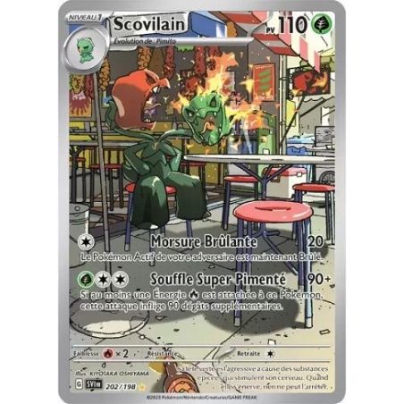 Carte à Collectionner - Pokémon