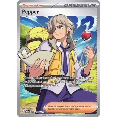 Carte à Collectionner - Pokémon