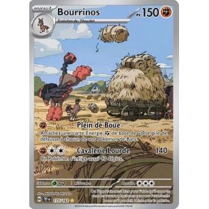 Carte à Collectionner - Pokémon