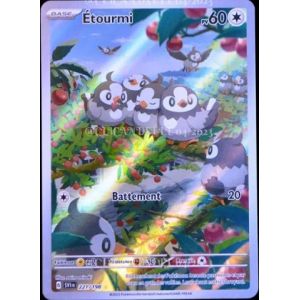 Carte à Collectionner - Pokémon