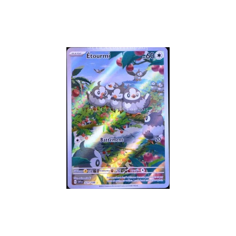 Carte à Collectionner - Pokémon