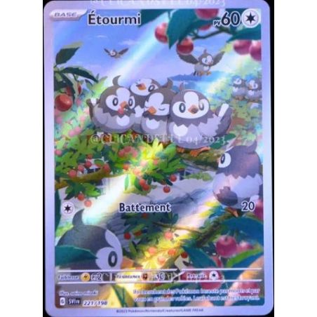 Carte à Collectionner - Pokémon