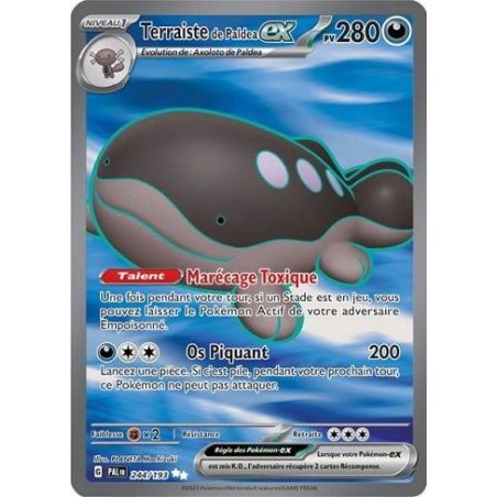 Carte à Collectionner - Pokémon