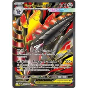 Carte à Collectionner - Pokémon