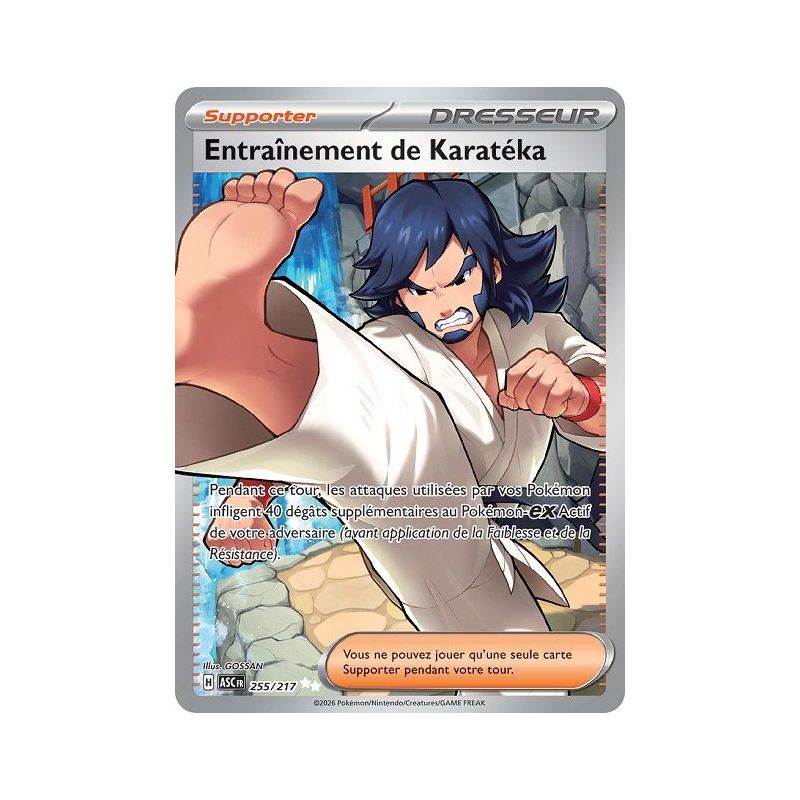 Carte à Collectionner - Pokémon