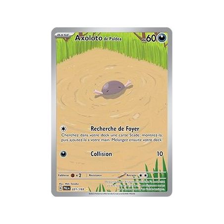 Carte à Collectionner - Pokémon