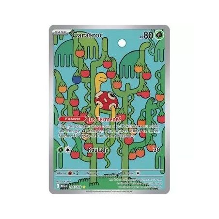 Carte à Collectionner - Pokémon