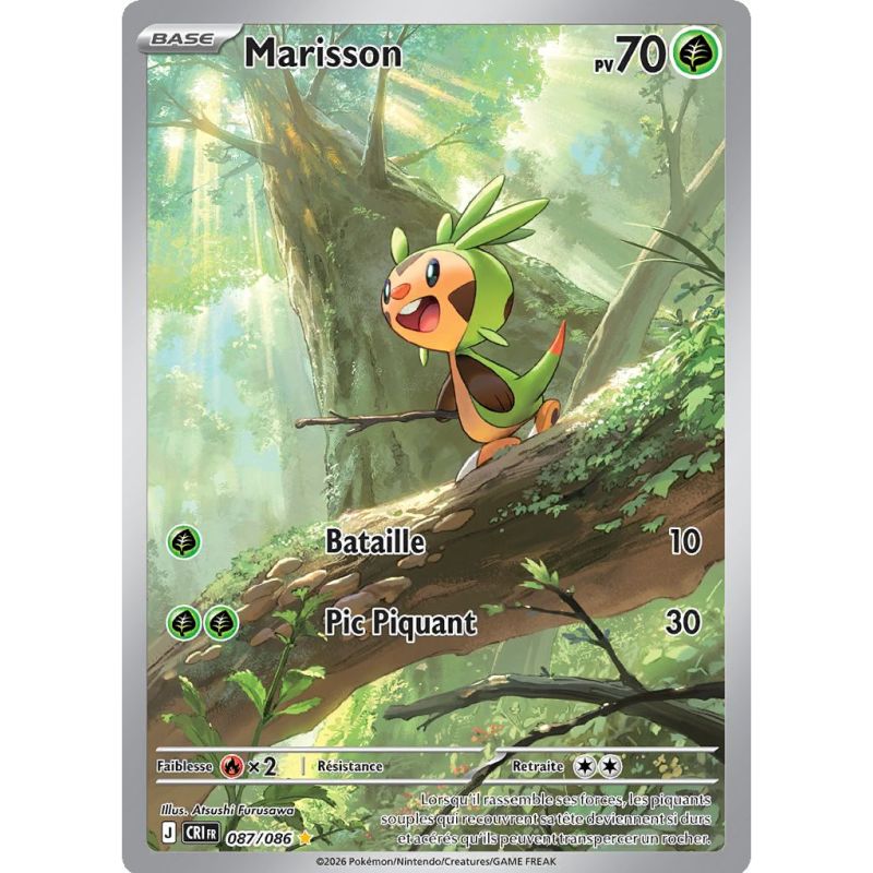 Carte à Collectionner - Pokémon