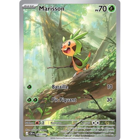 Carte à Collectionner - Pokémon