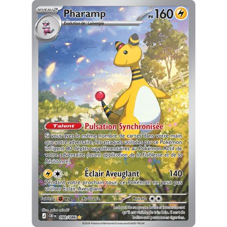 Carte à Collectionner - Pokémon