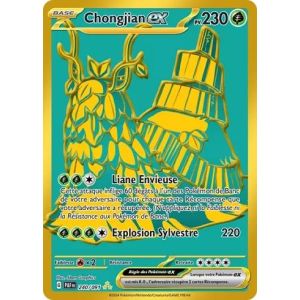 Carte à Collectionner - Pokémon