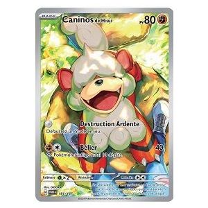 Carte à Collectionner - Pokémon