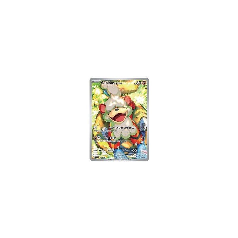 Carte à Collectionner - Pokémon