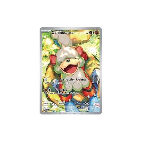 Carte à Collectionner - Pokémon