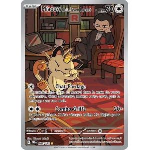 Carte à Collectionner - Pokémon