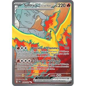 Carte à Collectionner - Pokémon