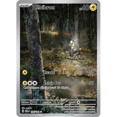 Carte à Collectionner - Pokémon