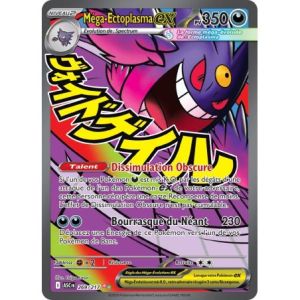 Carte à Collectionner - Pokémon