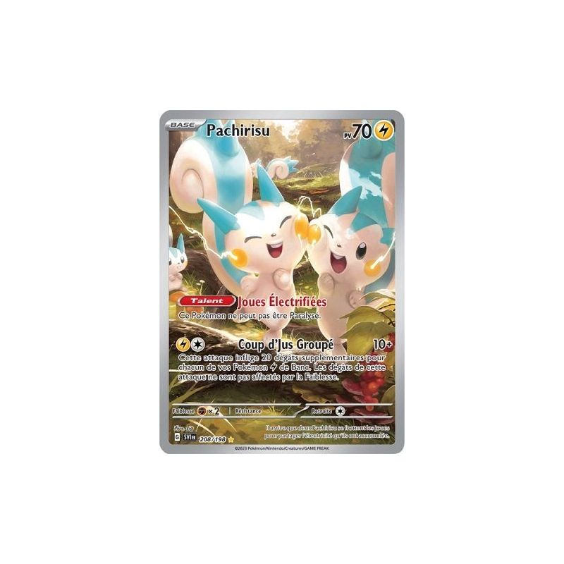 Carte à Collectionner - Pokémon