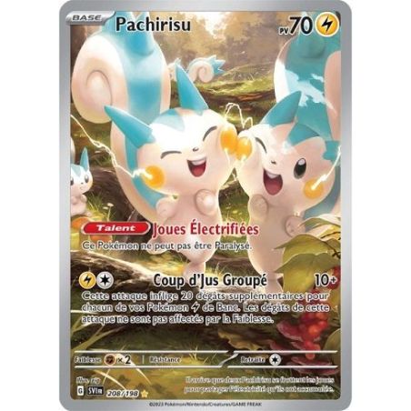 Carte à Collectionner - Pokémon