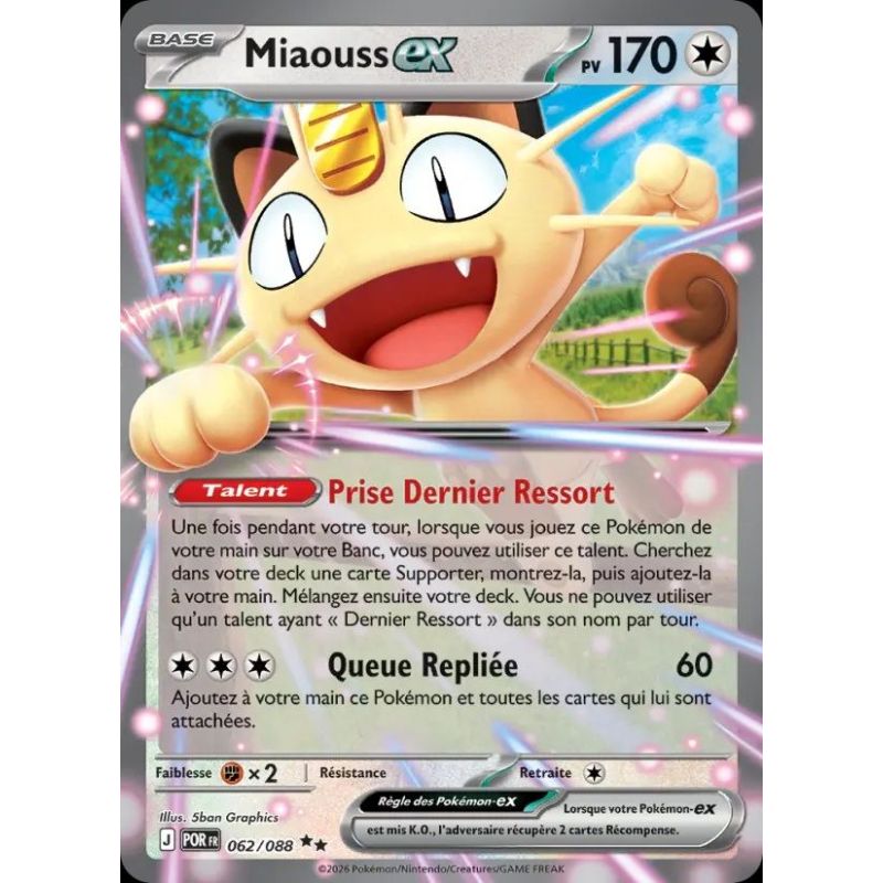 Carte à Collectionner - Pokémon