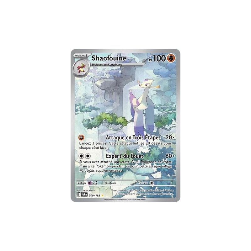 Carte à Collectionner - Pokémon