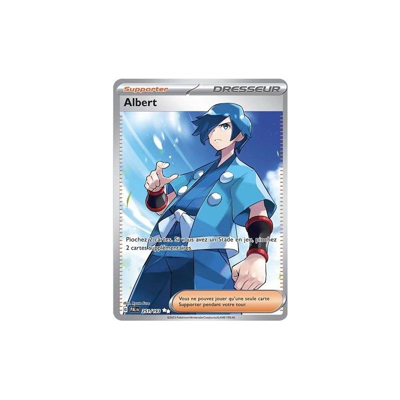 Carte à Collectionner - Pokémon