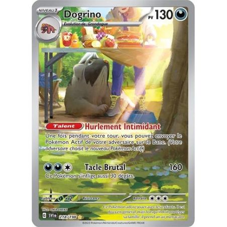 Carte à Collectionner - Pokémon