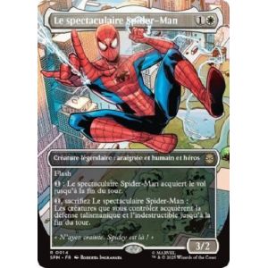Carte à Collectionner - Magic the gathering