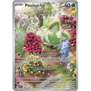 Carte à Collectionner - Pokémon