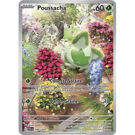 Carte à Collectionner - Pokémon