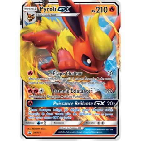 Carte à Collectionner - Pokémon