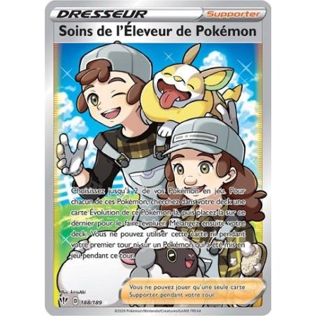 Carte à Collectionner - Pokémon