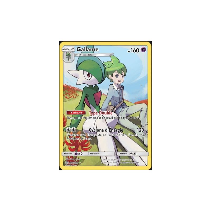 Carte à Collectionner - Pokémon
