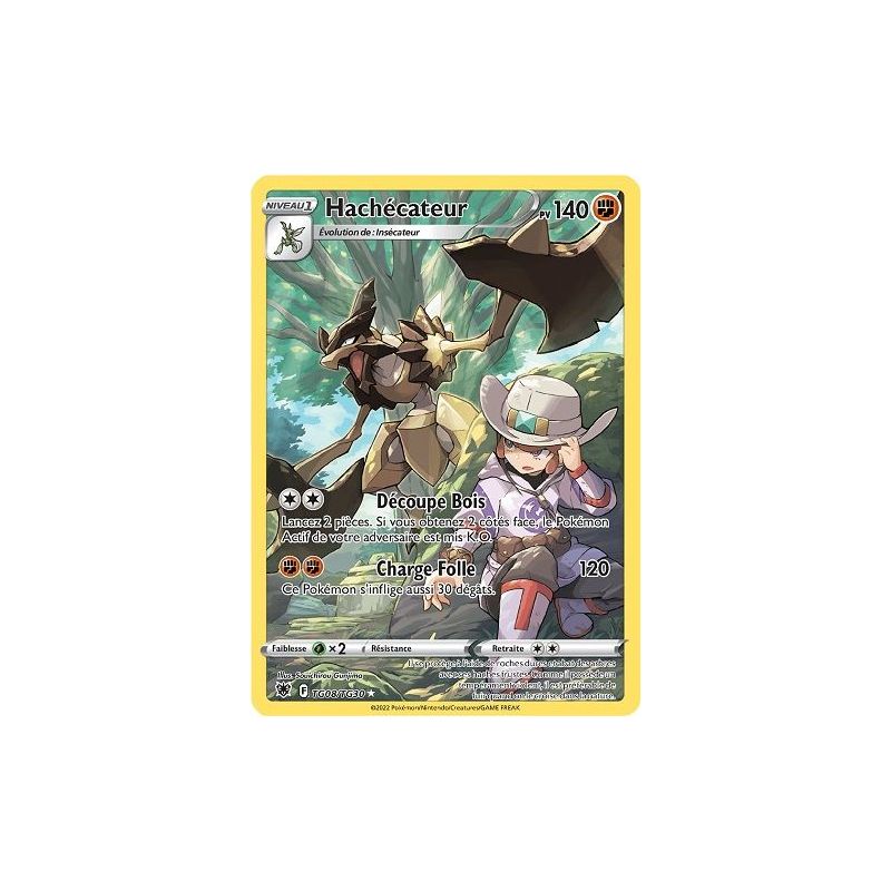 Carte à Collectionner - Pokémon