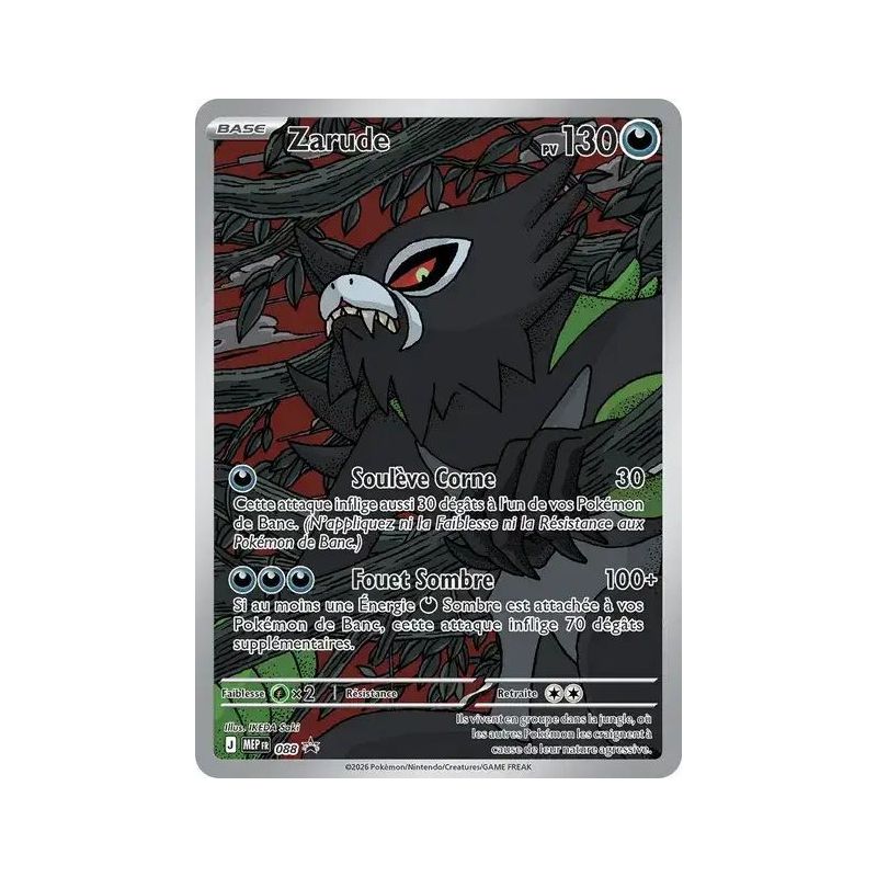 Carte à Collectionner - Pokémon