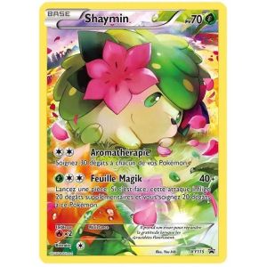 Carte à Collectionner - Pokémon