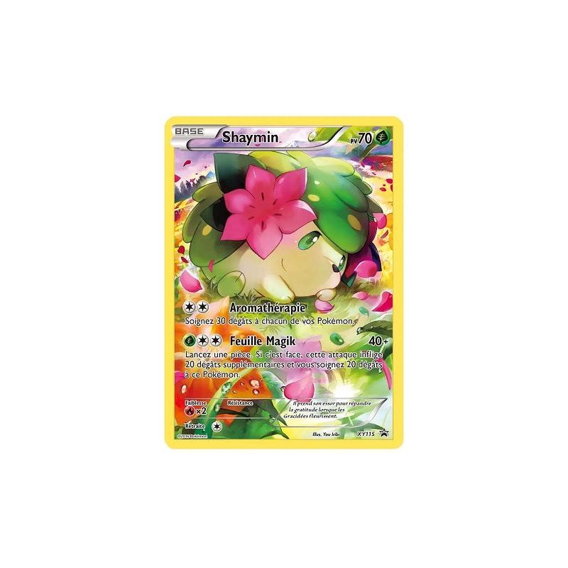 Carte à Collectionner - Pokémon