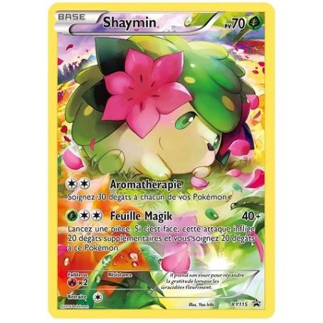 Carte à Collectionner - Pokémon