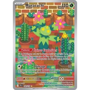 Carte à Collectionner - Pokémon