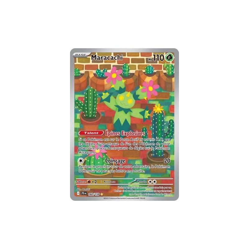 Carte à Collectionner - Pokémon