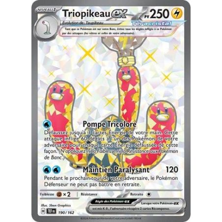 Carte à Collectionner - Pokémon